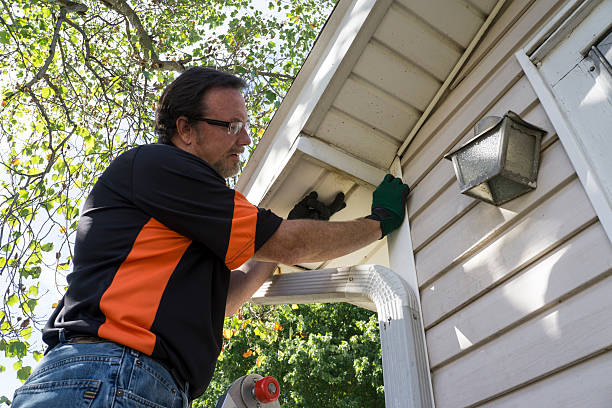 Best Basement Cleanout  in Macungie, PA